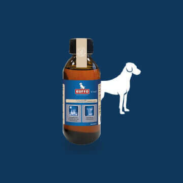 Tierliebe Bubblenavi Hunde Wohlbefinden